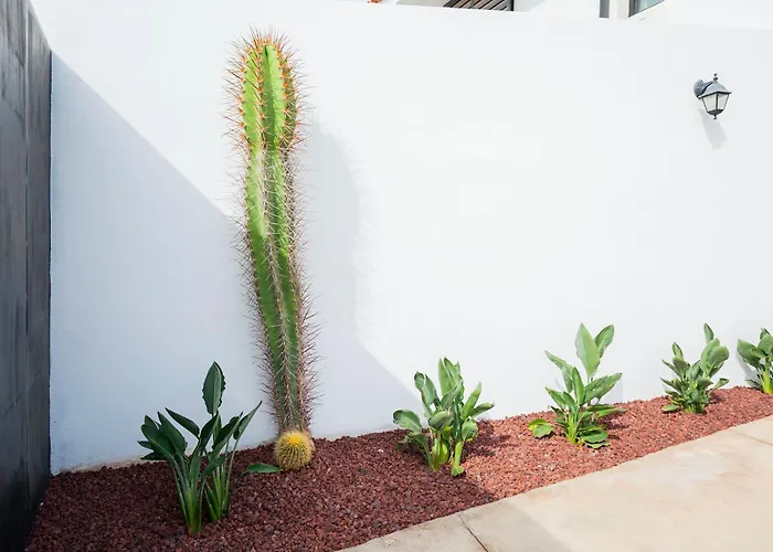 بيت للعطل House In Amarilla Golf! سان ميغيل ذي أبونا