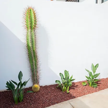 Сasa de vacaciones House In Amarilla Golf! San Miguel de Abona